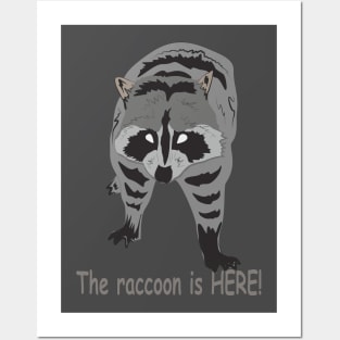 The raccoon is HERE! Posters and Art